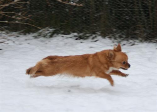 Elsa flyger i snö 10,5 mån