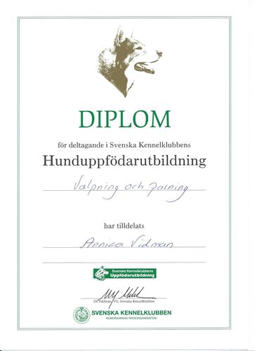 Parning valpning Annica Parning valpning Annica