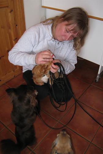 IMG_5753 IMG_5753