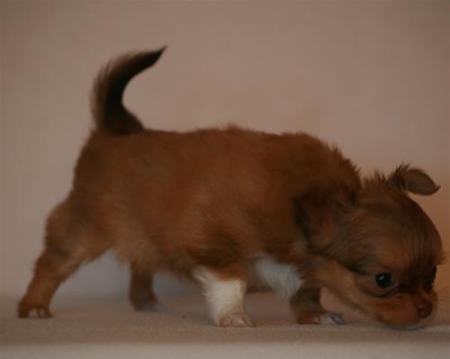 IMG_6580 IMG_6580