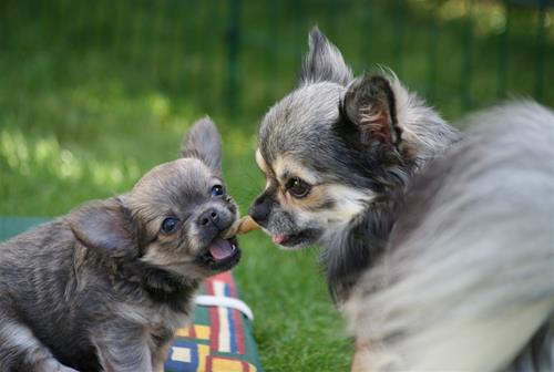 IMG_6303 IMG_6303