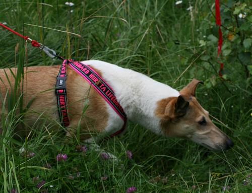 IMG_5427 IMG_5427