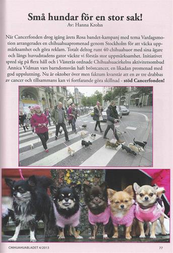 Rosa promenad chibladet