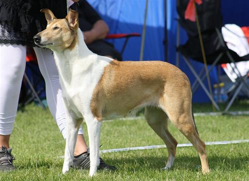 IMG_5798 IMG_5798