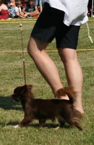 IMG_8249 IMG_8249