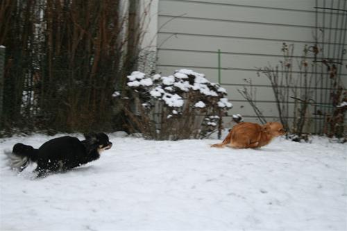 Elsa Bonnie race i snö