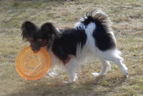 DSC00070 DSC00070