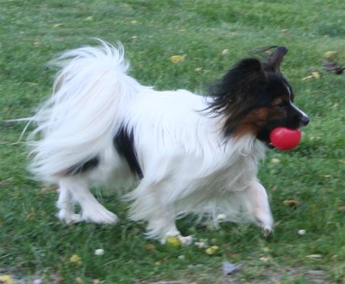 IMG_0050 IMG_0050
