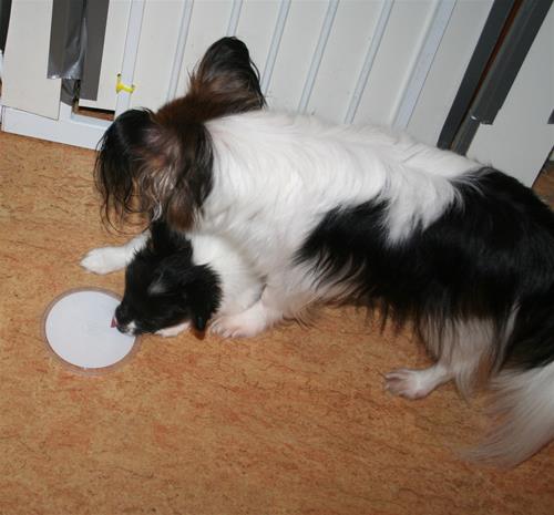 IMG_5640 IMG_5640