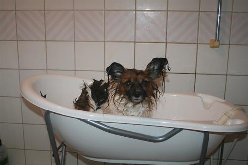 IMG_6013 IMG_6013