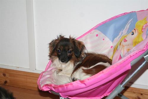 IMG_0416 IMG_0416