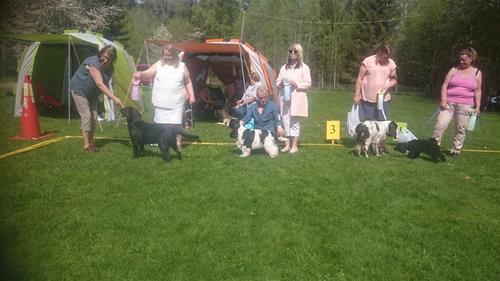 32219295_1421981957907565_5868131108339580928_n 32219295_1421981957907565_5868131108339580928_n