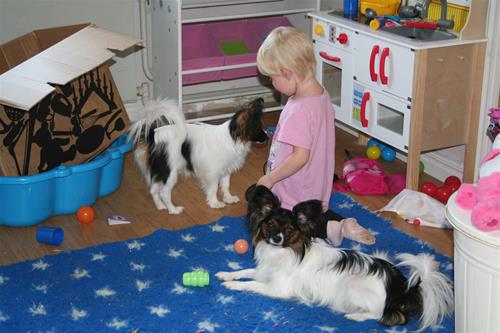 IMG_6686 IMG_6686