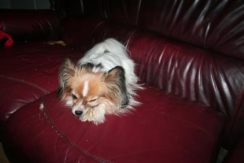 IMG_0458 IMG_0458