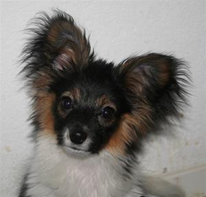 IMG_8546 IMG_8546