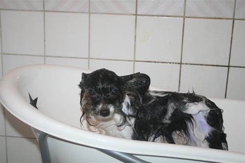 IMG_6019 IMG_6019