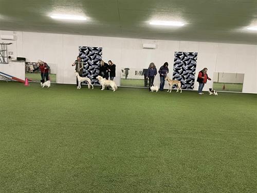 327764429_4300442720079933_1420040577873448238_n 327764429_4300442720079933_1420040577873448238_n