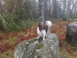 IMG_20191124_123514