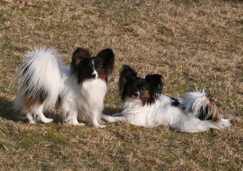 IMG_9155 IMG_9155