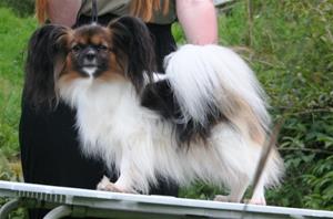 ArwenStå