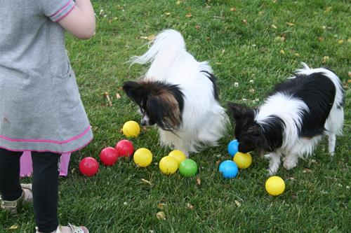 IMG_0025 IMG_0025