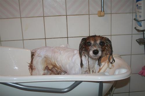 IMG_6027 IMG_6027