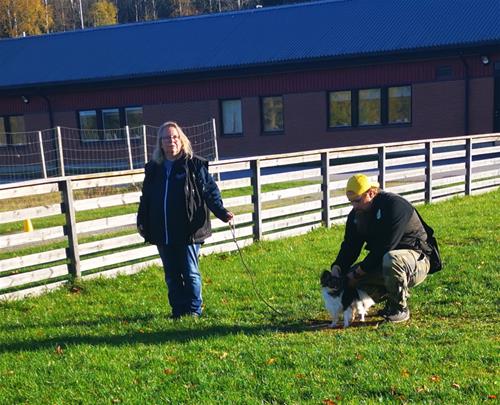 IMG_20201018_111253 IMG_20201018_111253