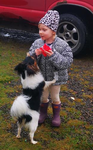 IMG_20201031_134732 IMG_20201031_134732