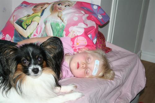 IMG_6683 IMG_6683