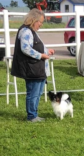 62491415_10157691683214924_1717038954693263360_n 62491415_10157691683214924_1717038954693263360_n