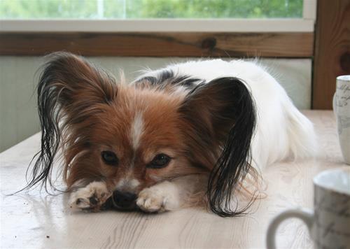 IMG_0349 IMG_0349
