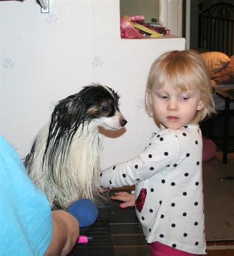 IMG_8938 IMG_8938