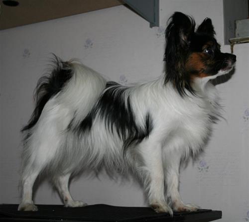 IMG_6746 IMG_6746
