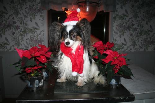 IMG_0448 IMG_0448