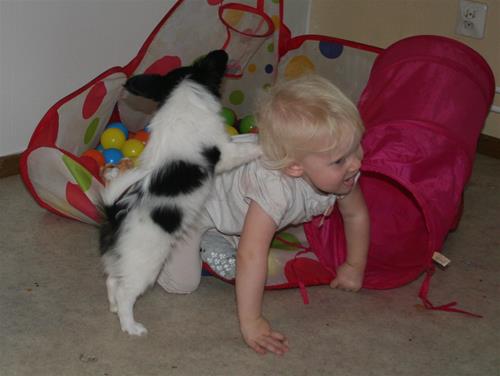 IMG_5625 IMG_5625
