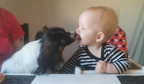 IMG_20201015_155543 IMG_20201015_155543