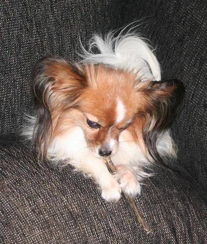 IMG_5630 IMG_5630