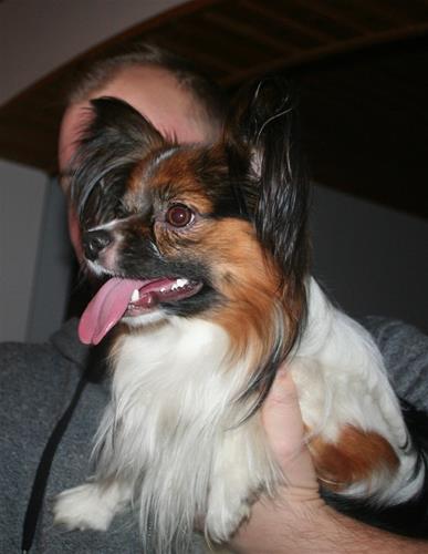 IMG_7923 IMG_7923