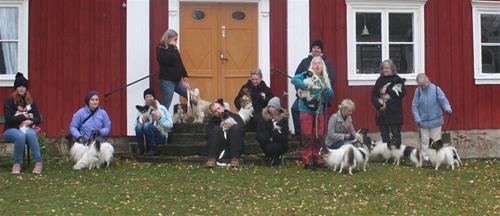 IMG_5924 IMG_5924