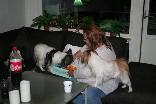 IMG_5246 IMG_5246