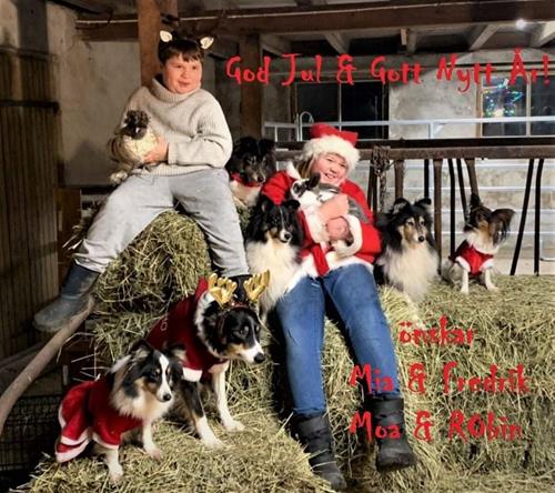 FB_IMG_1608835961126 FB_IMG_1608835961126