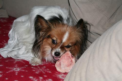 IMG_1023 IMG_1023