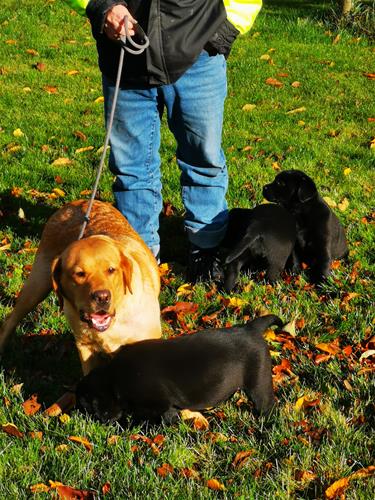 IMG_20201024_124824 IMG_20201024_124824