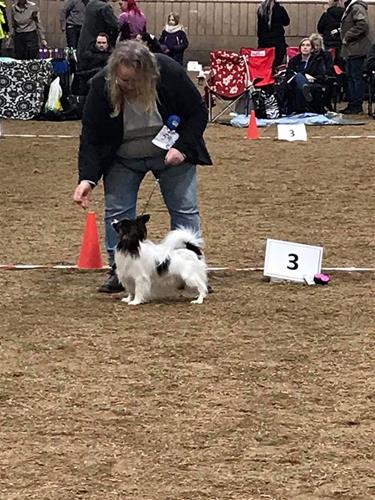 87175597_2448701165235634_1708942748066775040_o 87175597_2448701165235634_1708942748066775040_o