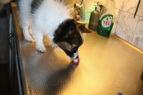 IMG_0647 IMG_0647