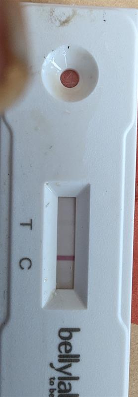 PXL_20230703_140913306 PXL_20230703_140913306