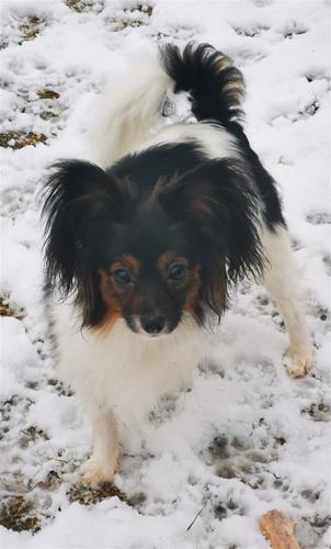 IMG_20201231_115626 IMG_20201231_115626
