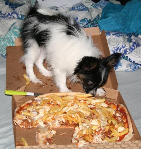 Pizzalunch Pizzalunch