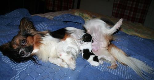 IMG_7779 IMG_7779