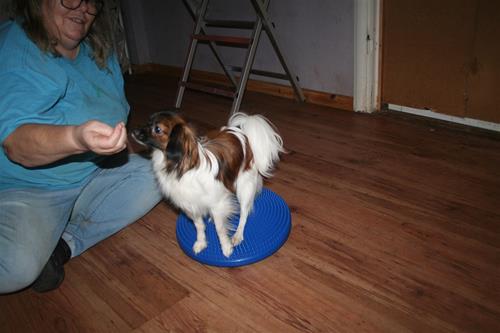 IMG_0590 IMG_0590